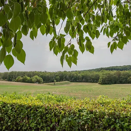 Lili * Lavercantière